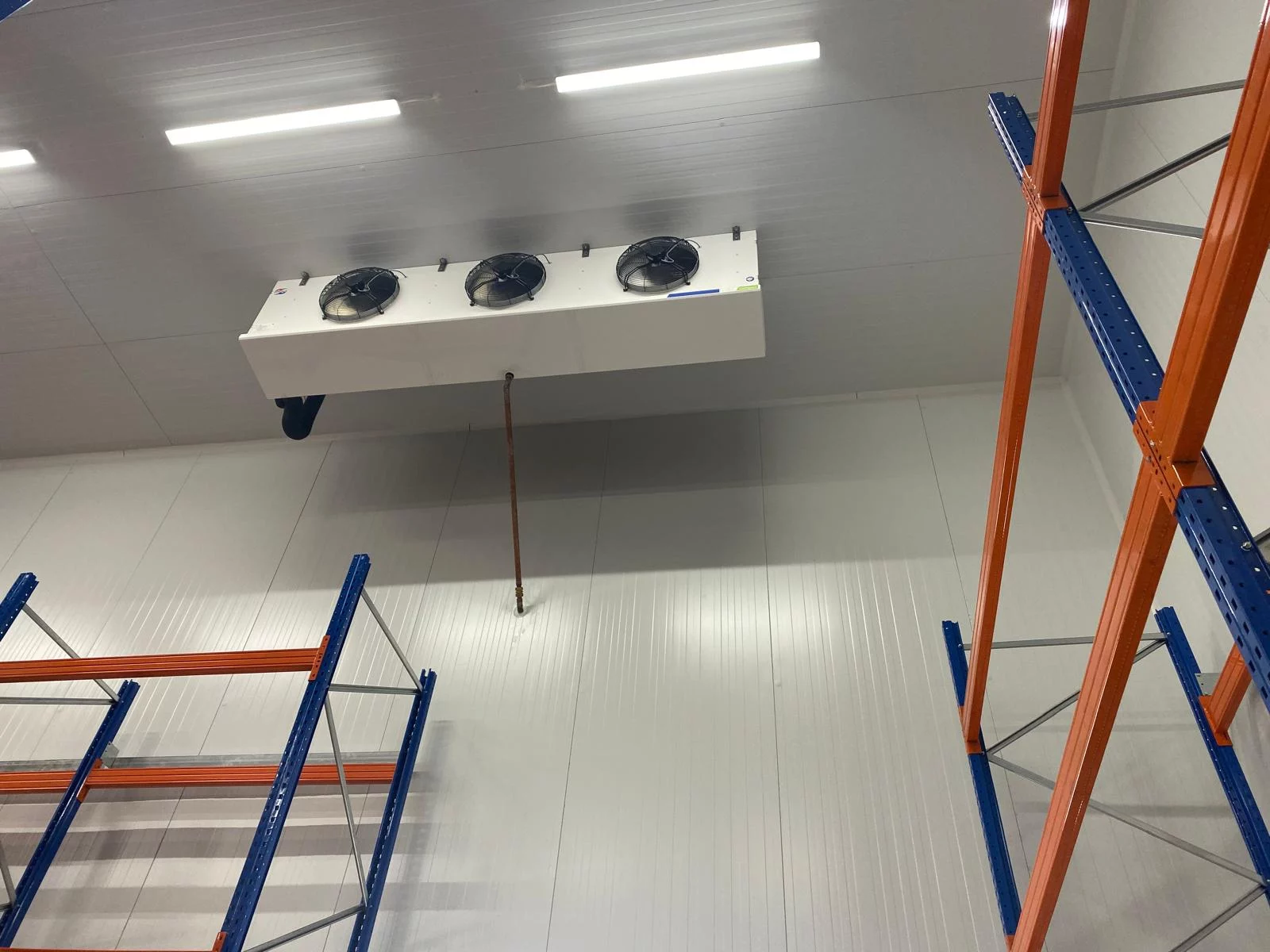 WhatsApp Imae 2026-03-18 at 15.41.55