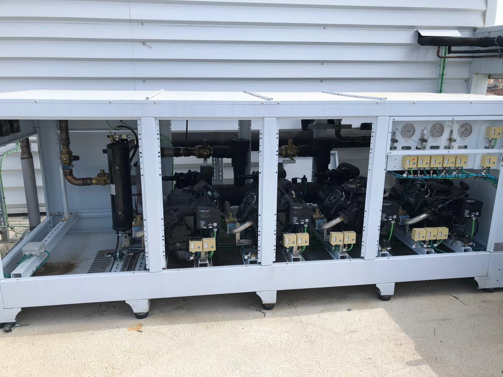 WhatsApp Image 2026-02-26 at 16.55.12