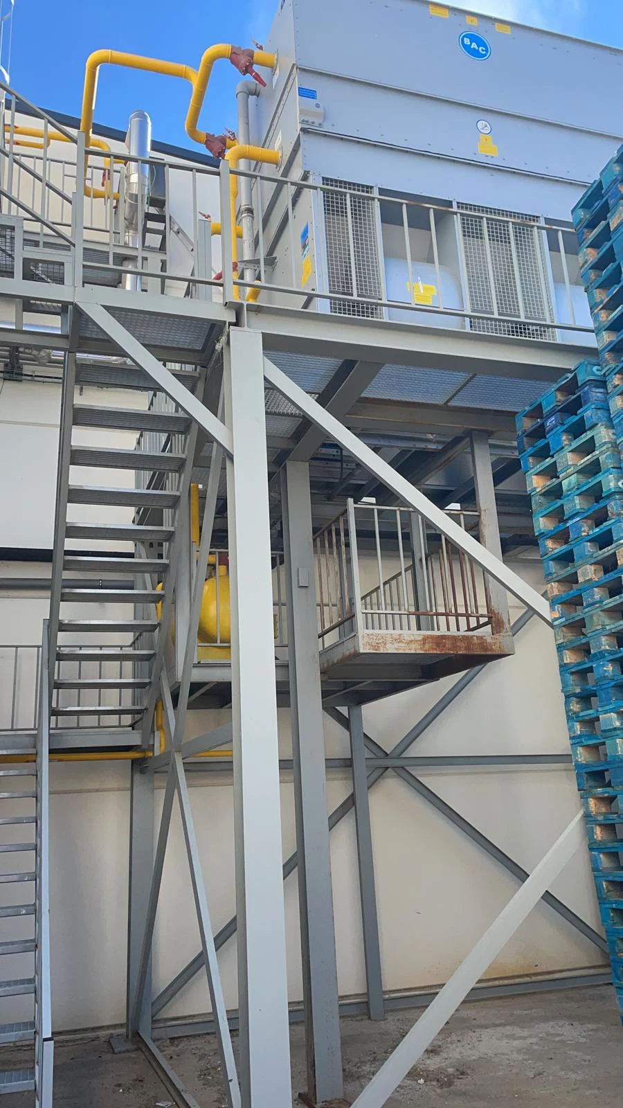 WhatsApp Image 2026-02-26 at 17.03.21