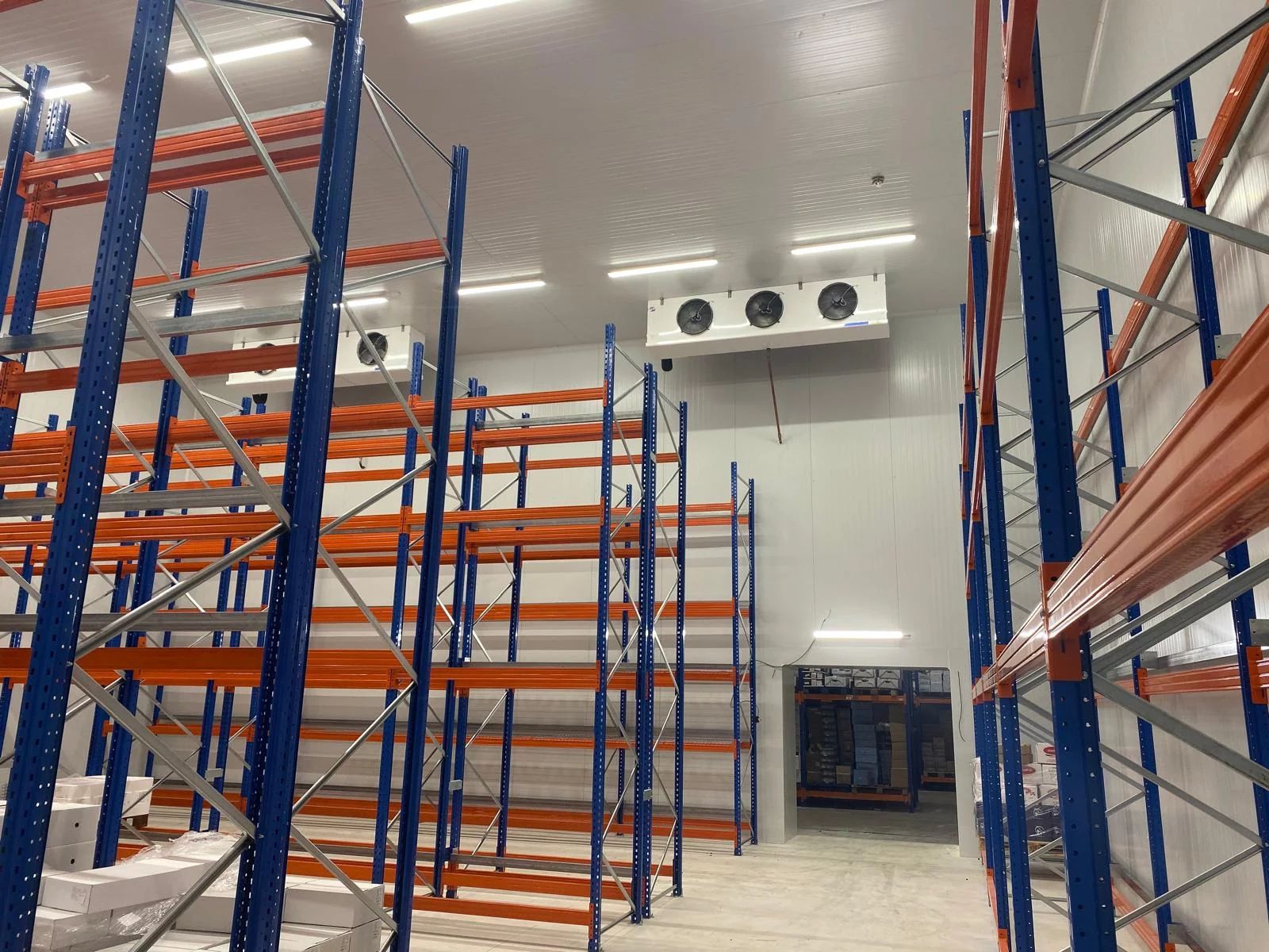 WhatsApp Image 2026-03-18 15.41.54