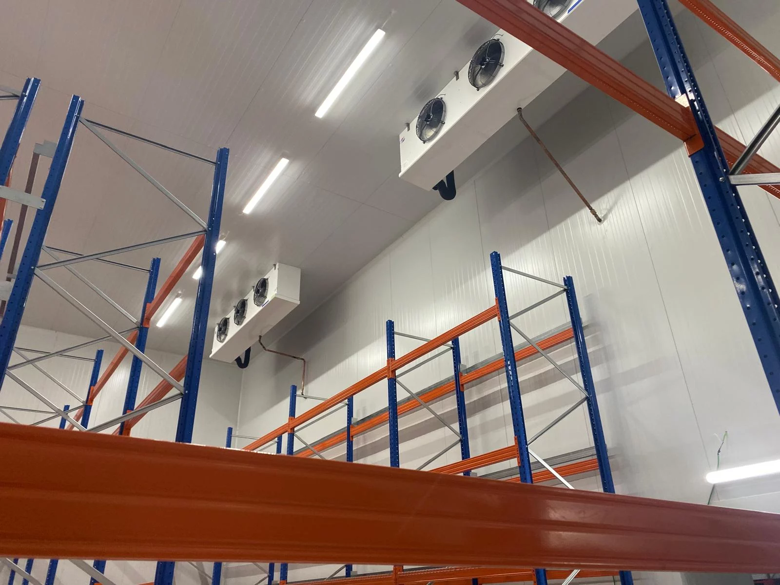 WhatsApp Image 2026-03-18 at 15.41.54