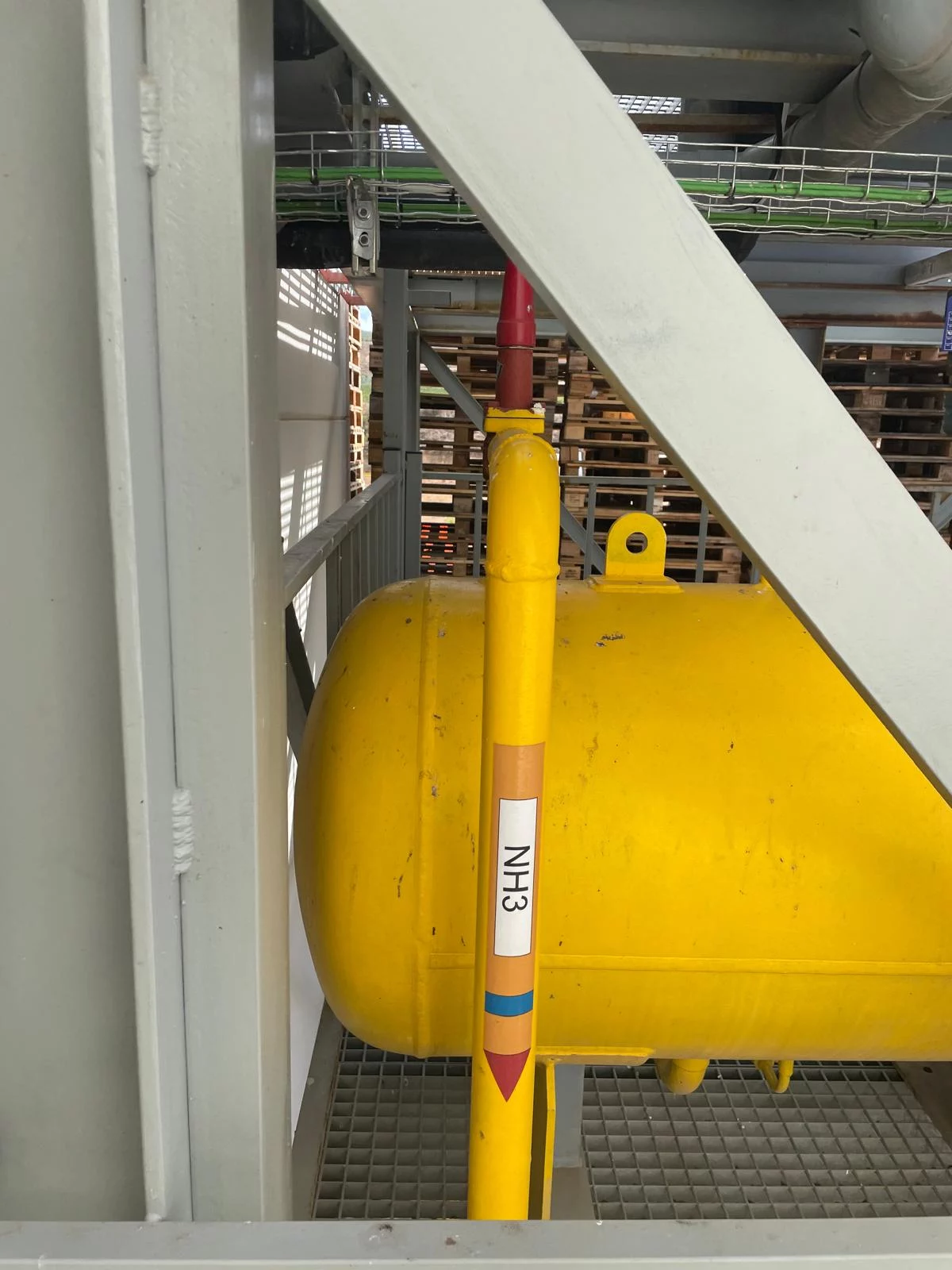 WhatsApp Image 2026-03-18 at 15.56.26