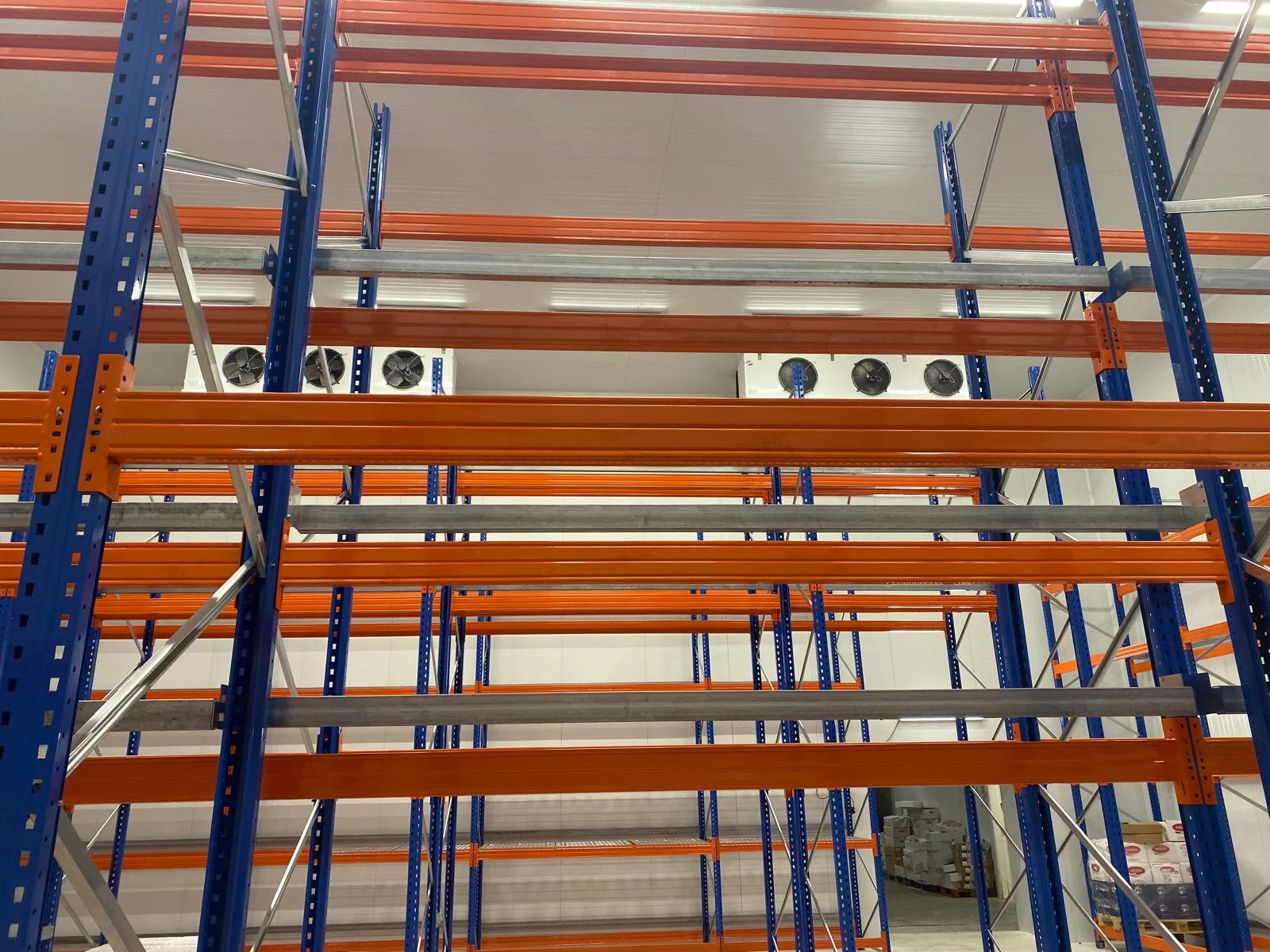 WhatsApp Image 2026-03-18 t 15.41.54